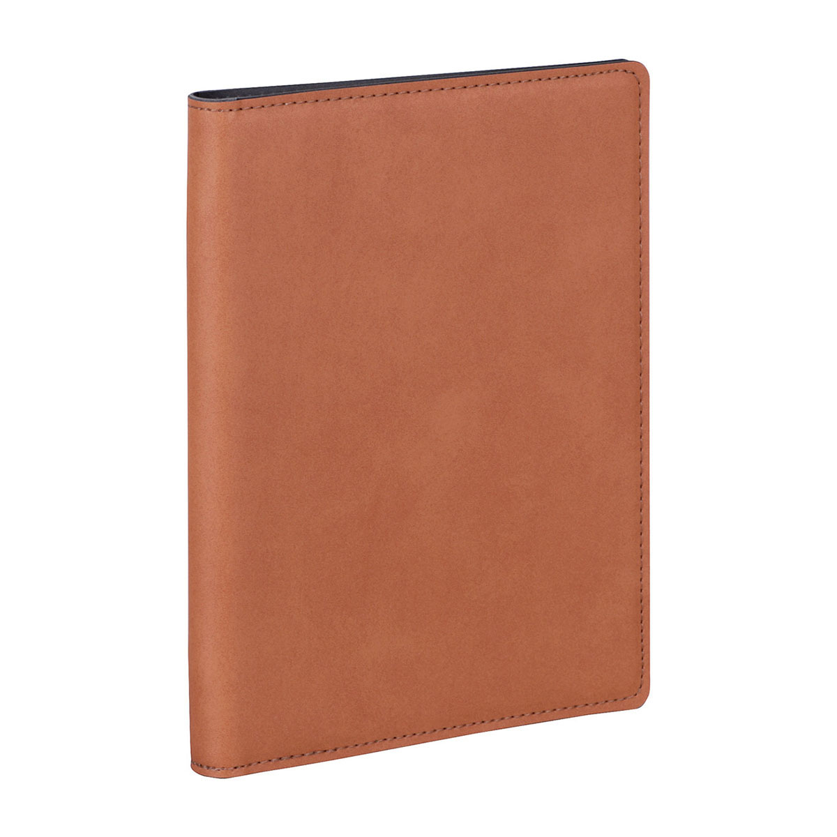 レイメイ藤井　ビジネススリムバインダーA5 ブラウン　QE1124C