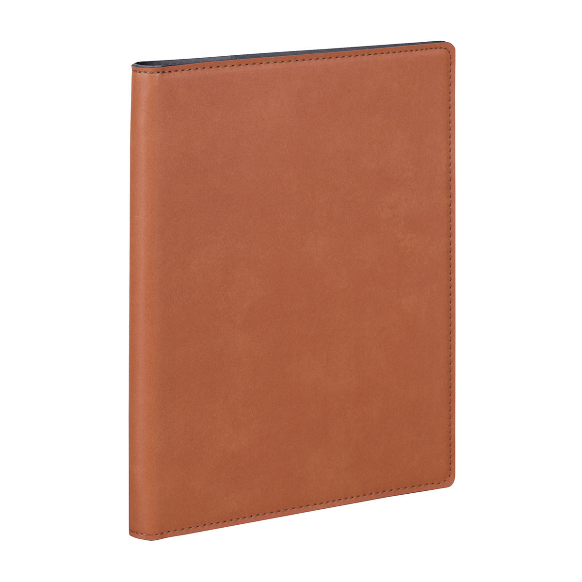 レイメイ藤井　ビジネススリムバインダーB5 ブラウン　QE1125C