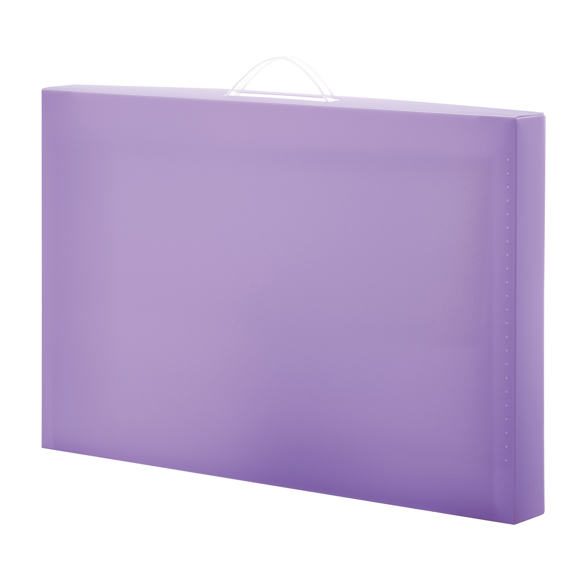 レイメイ藤井　作品ファイル　バイオレット　RS1089V