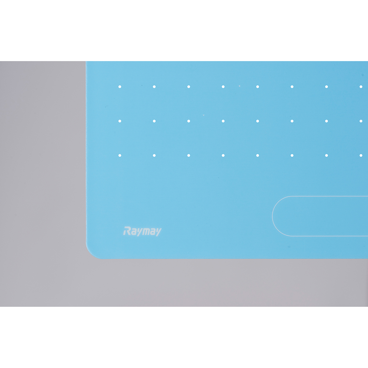 レイメイ藤井 先生おすすめ 魔法のザラザラ下じきB5(0.3mmドット) ブルー U783A