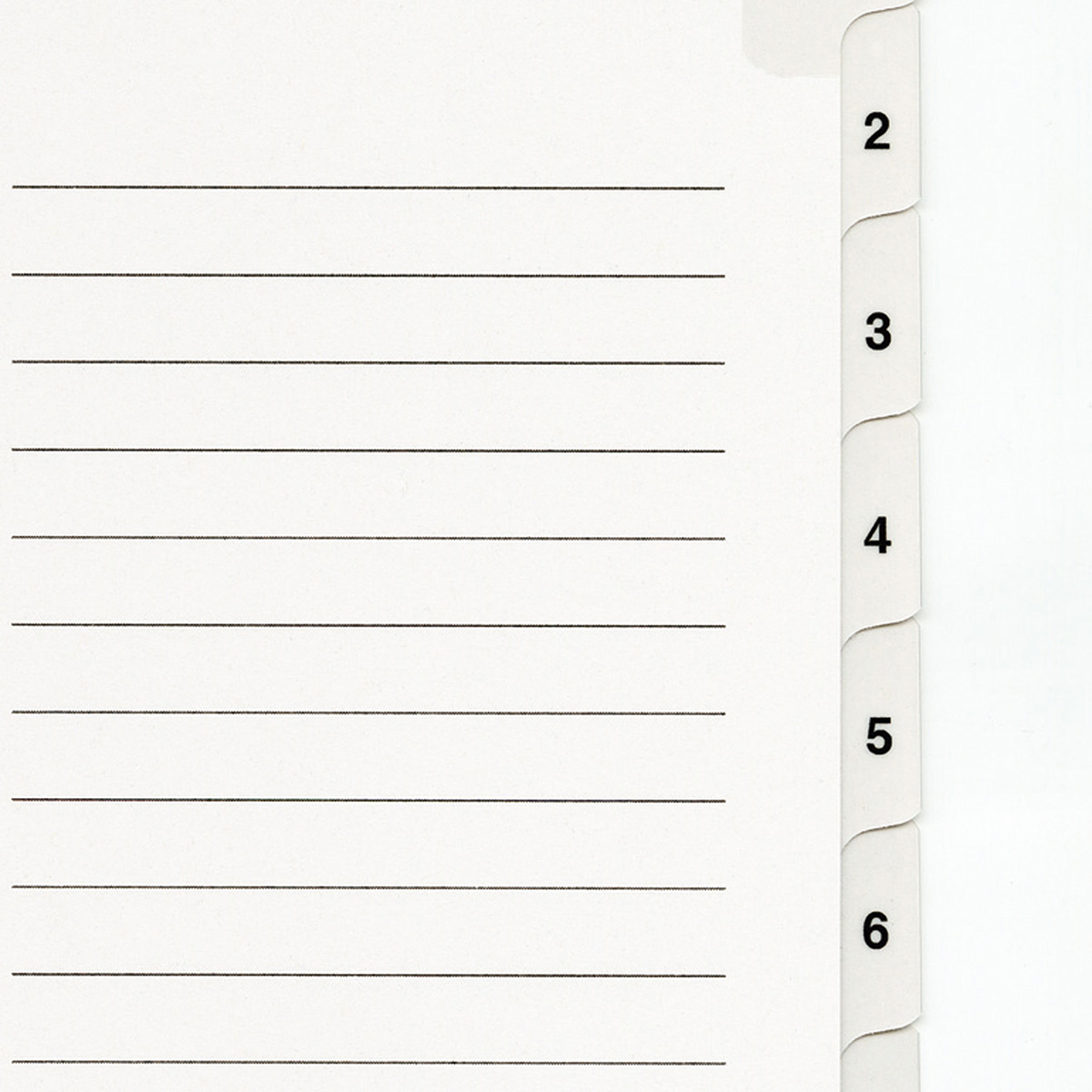 マルマン　Ａ４　ラミタブ見出し　２穴　１２枚