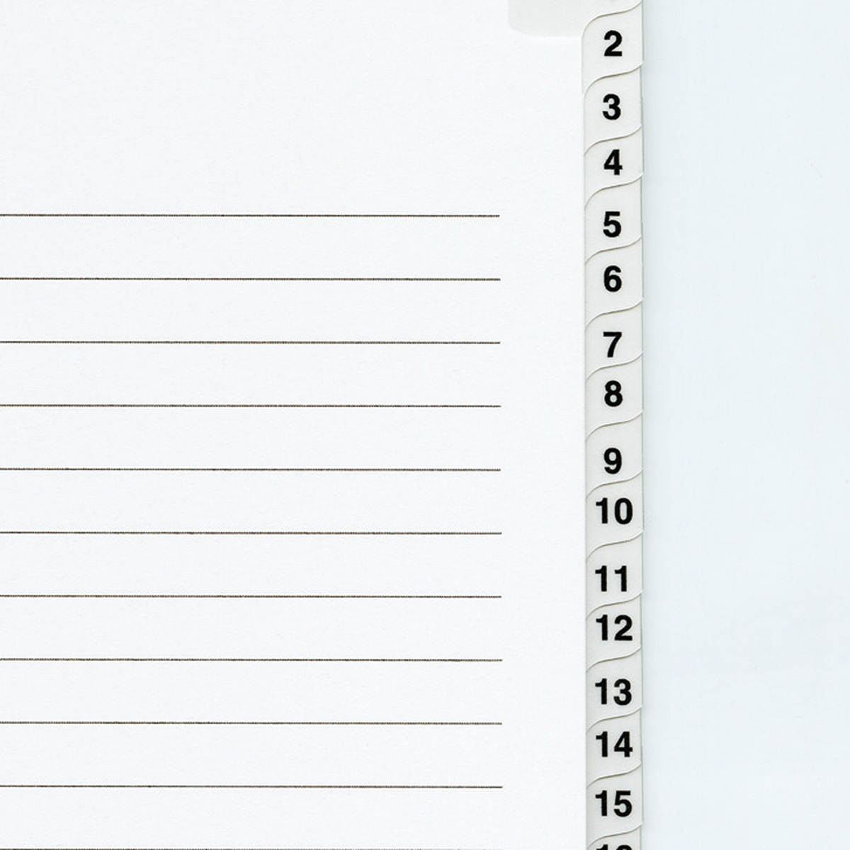 マルマン　Ａ４　ラミタブ見出し　２穴　３１枚