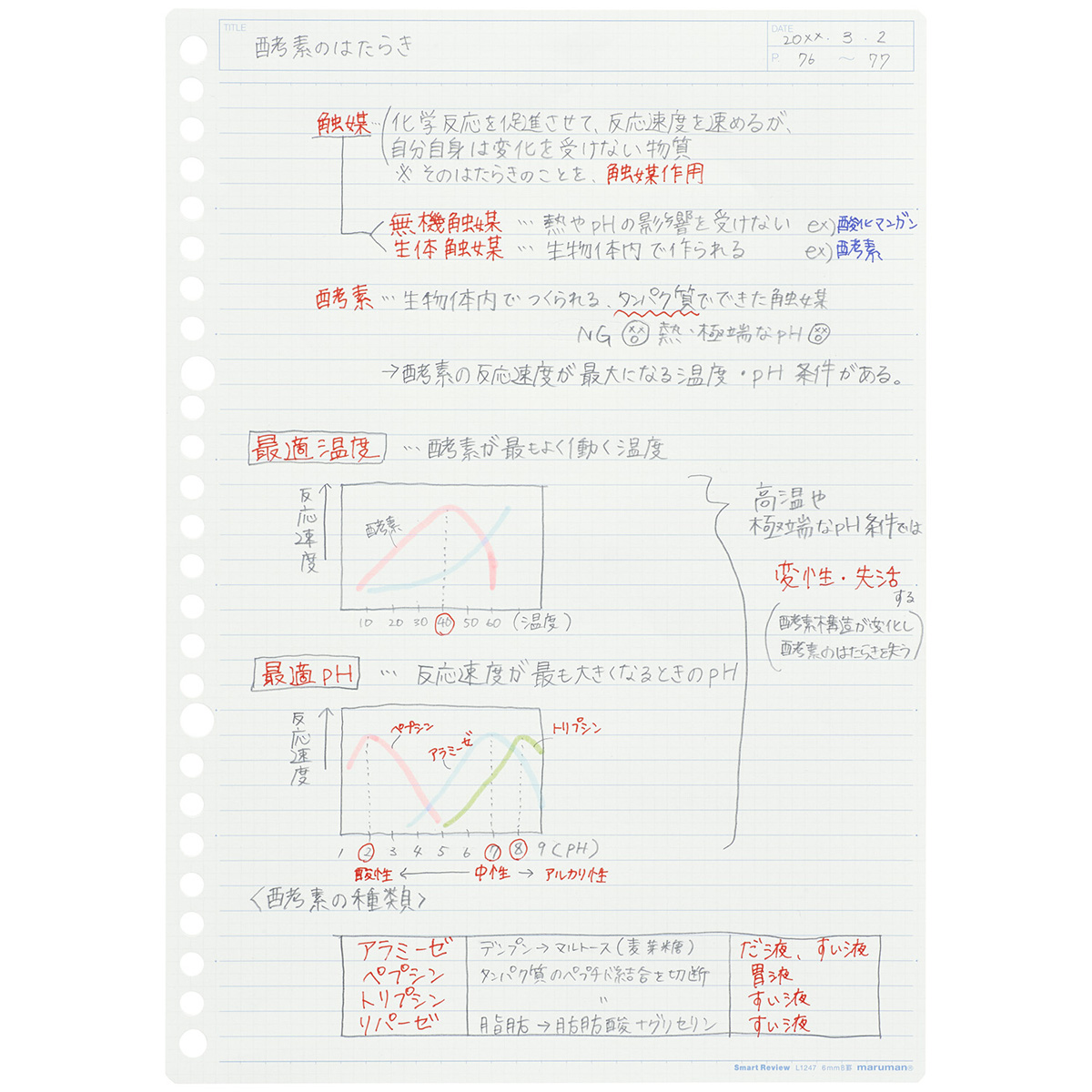 マルマン　Ｂ５ルーズリーフ　サポート罫　６ｍｍ　５０枚