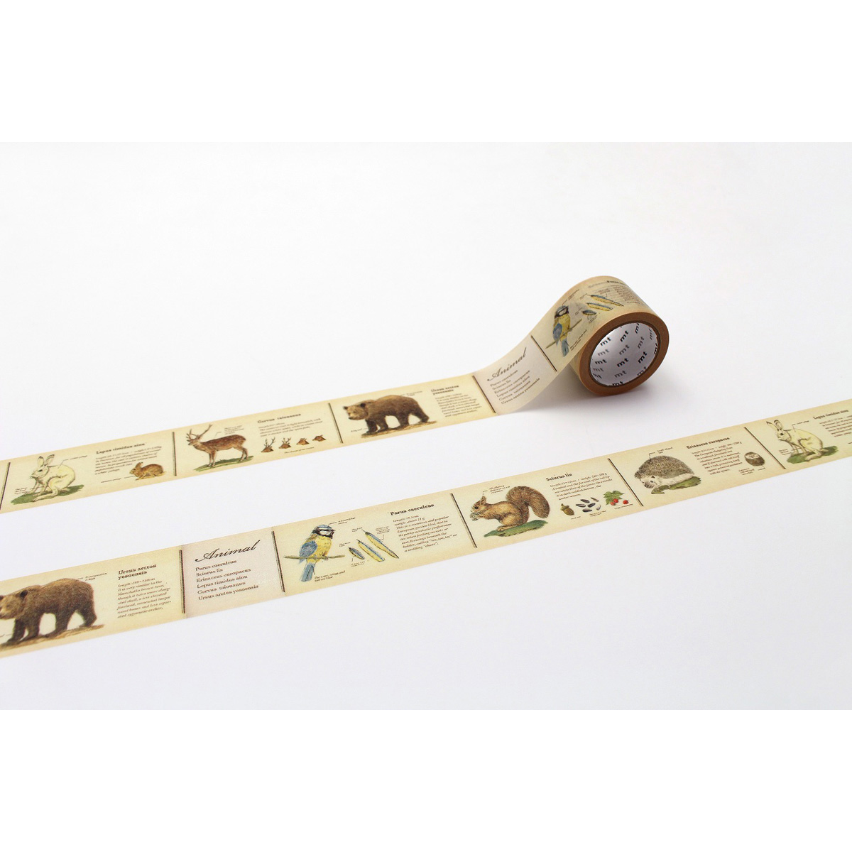 カモ井／マスキングテープ　ｍｔ　ｅｘ　図鑑・動物　ＭＴＥＸ１Ｐ３６Ｒ