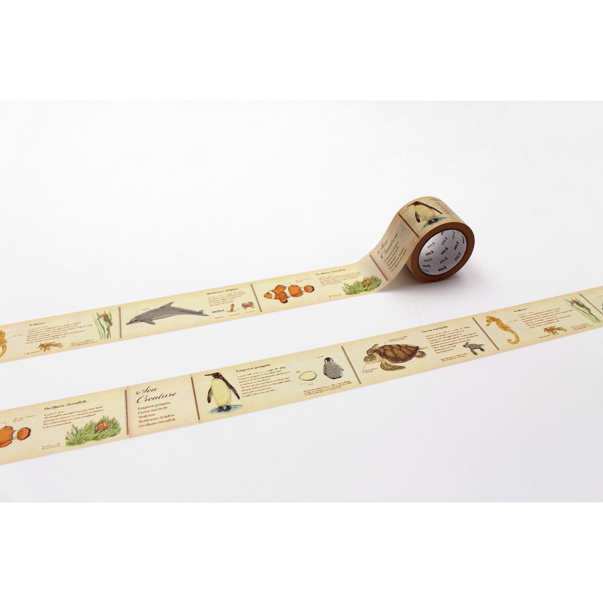 カモ井／マスキングテープ　ｍｔ　ｅｘ　図鑑・海洋生物　ＭＴＥＸ１Ｐ７０Ｒ