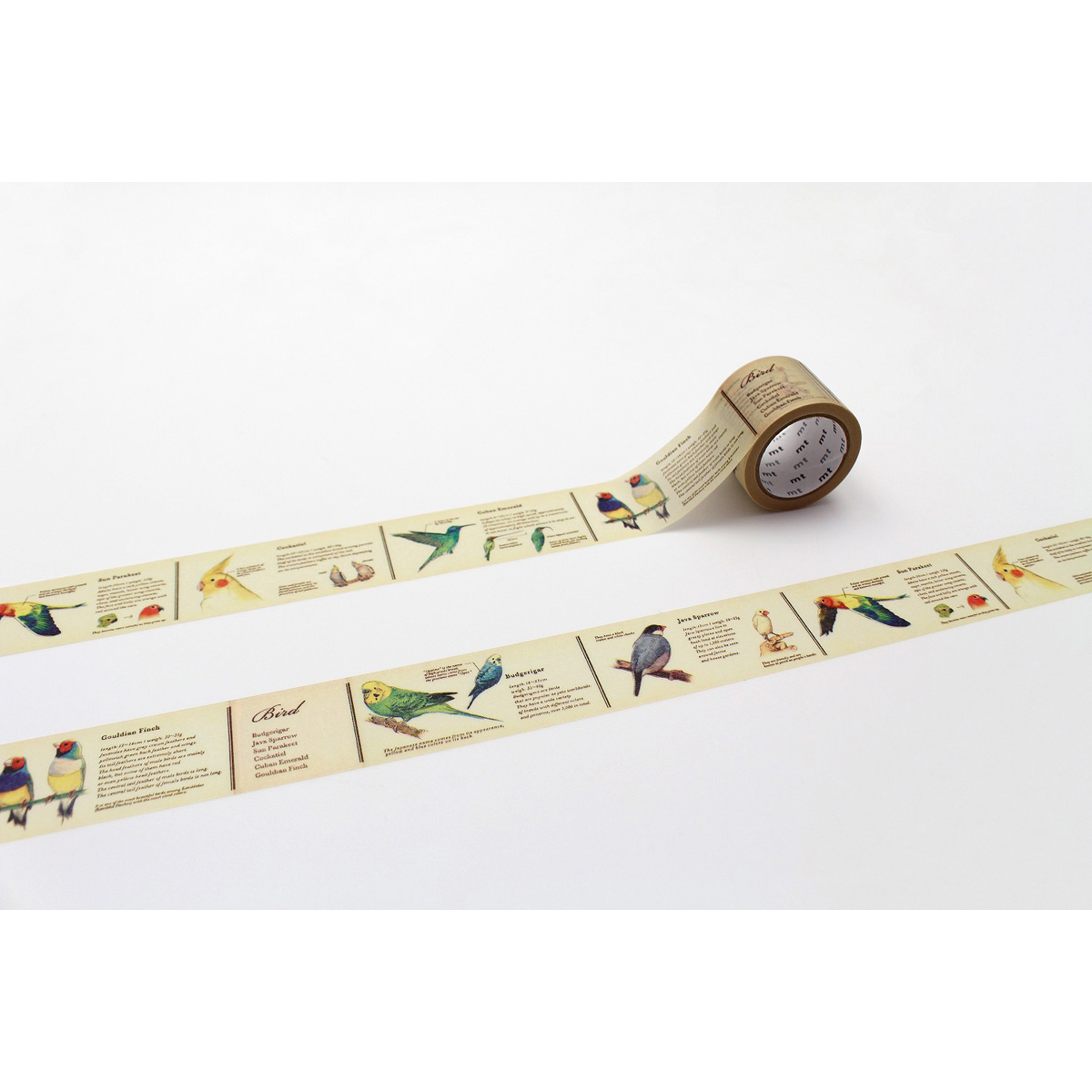 カモ井／マスキングテープ　ｍｔ　ｅｘ　図鑑・鳥　ＭＴＥＸ１Ｐ９０Ｒ