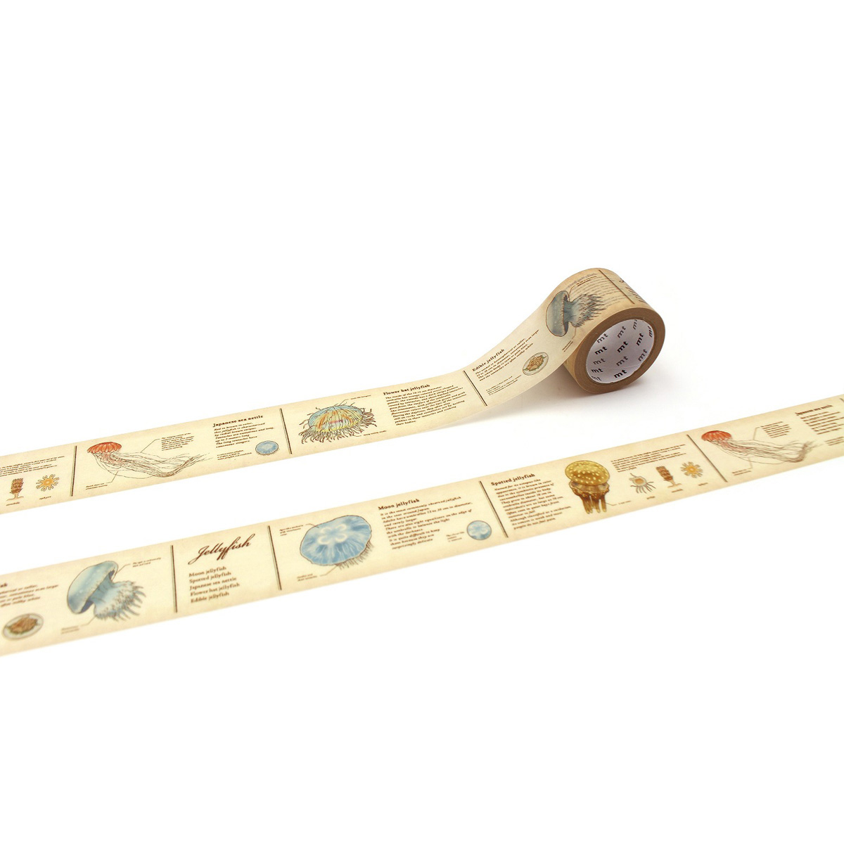 カモ井／マスキングテープ　ｍｔ　ｅｘ　図鑑・クラゲ　ＭＴＥＸ１Ｐ２２３