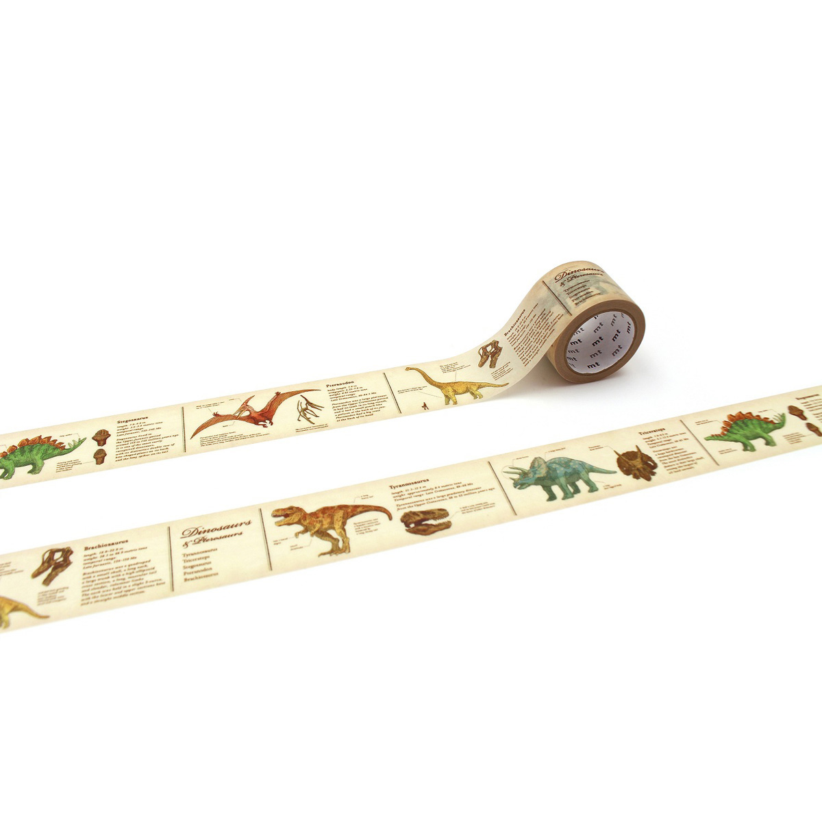 カモ井／マスキングテープ　ｍｔ　ｅｘ　図鑑・恐竜　ＭＴＥＸ１Ｐ２２４