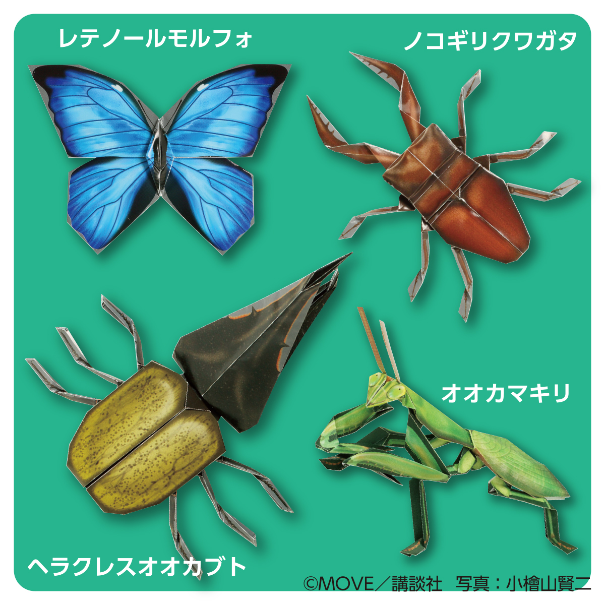 トーヨー　ＭＯＶＥ昆虫おりがみ　　２４枚