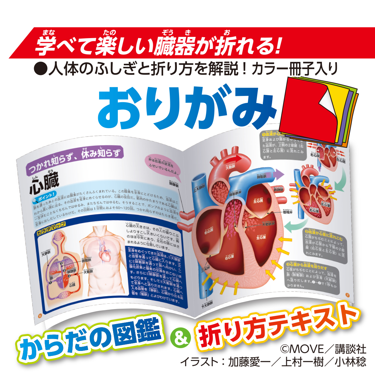 トーヨー　ＭＯＶＥ人体のふしぎおりがみ　　１６枚