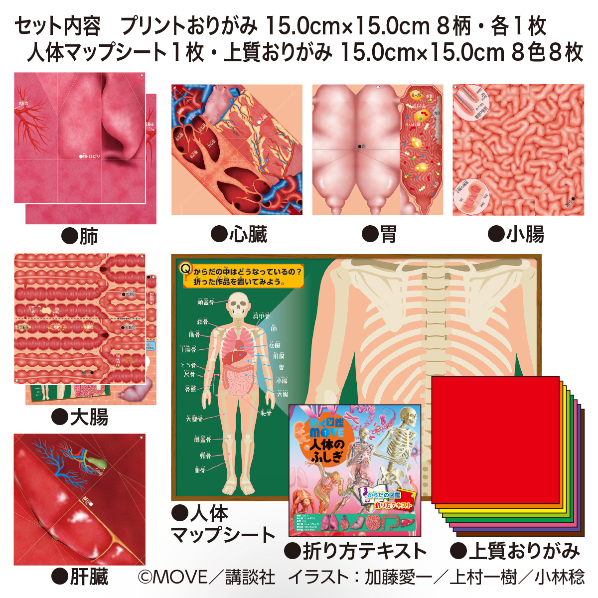 トーヨー　ＭＯＶＥ人体のふしぎおりがみ　　１６枚