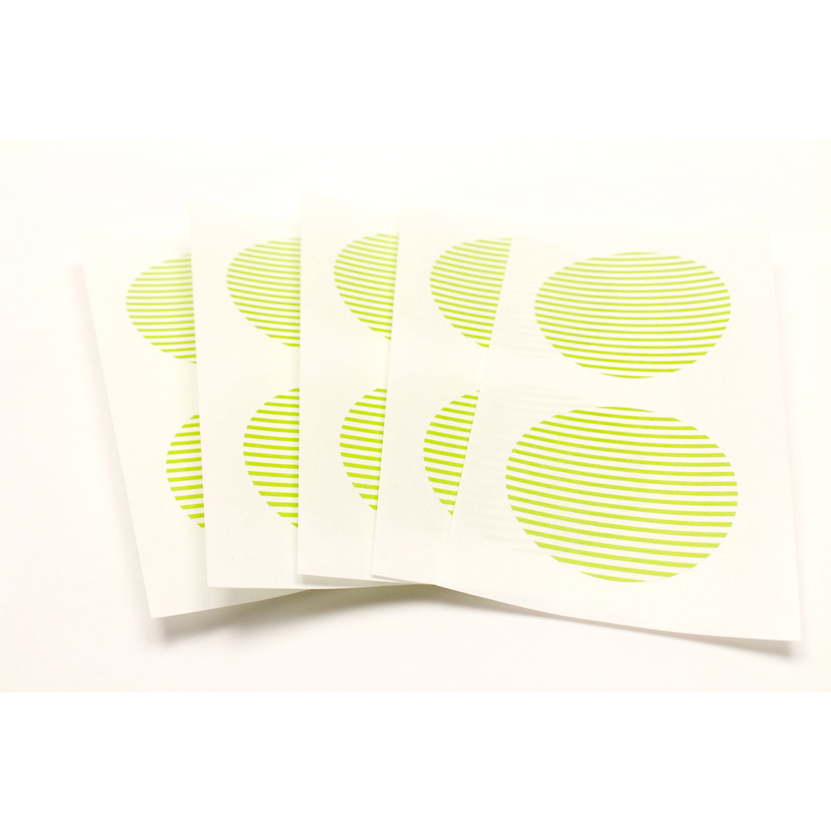 カモ井／マスキングテープ　ｍｔ　ｃａｓａ　ｓｅａｌ　ボーダー・キウイ　ＭＴＣＤＳ０２７