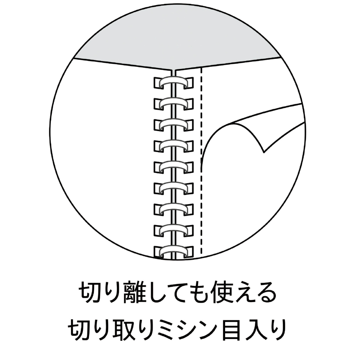 コクヨ　キャンパス　ソフトリングノート　Ｂ５　４０枚　ドット入／Ａ罫　青