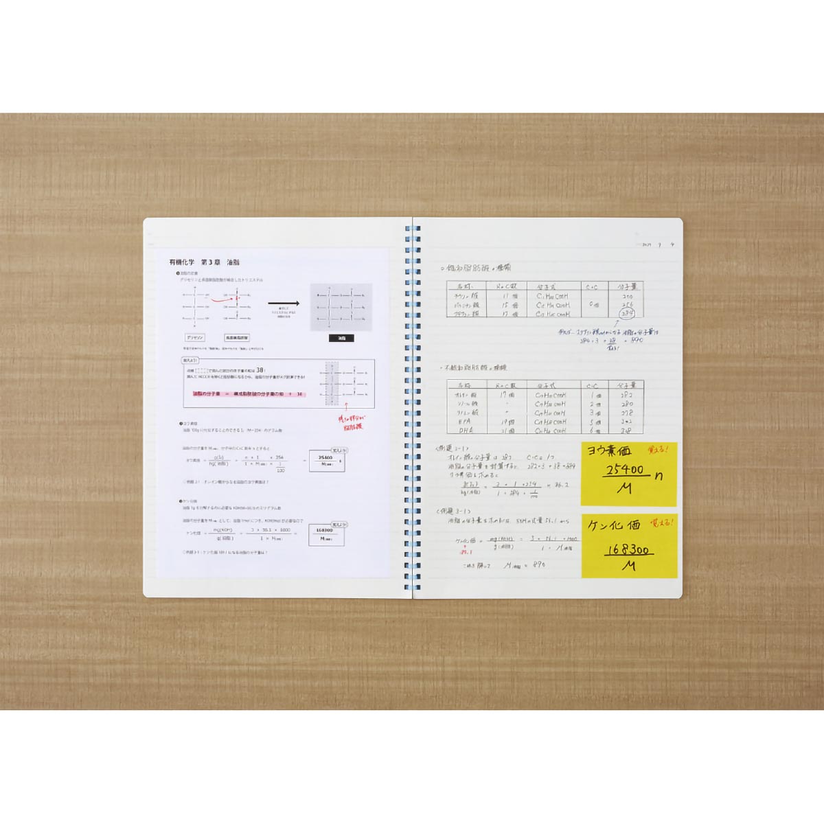 コクヨ　キャンパス　ソフトリングノート　Ａ４　４０枚　ドット入／Ａ罫　青