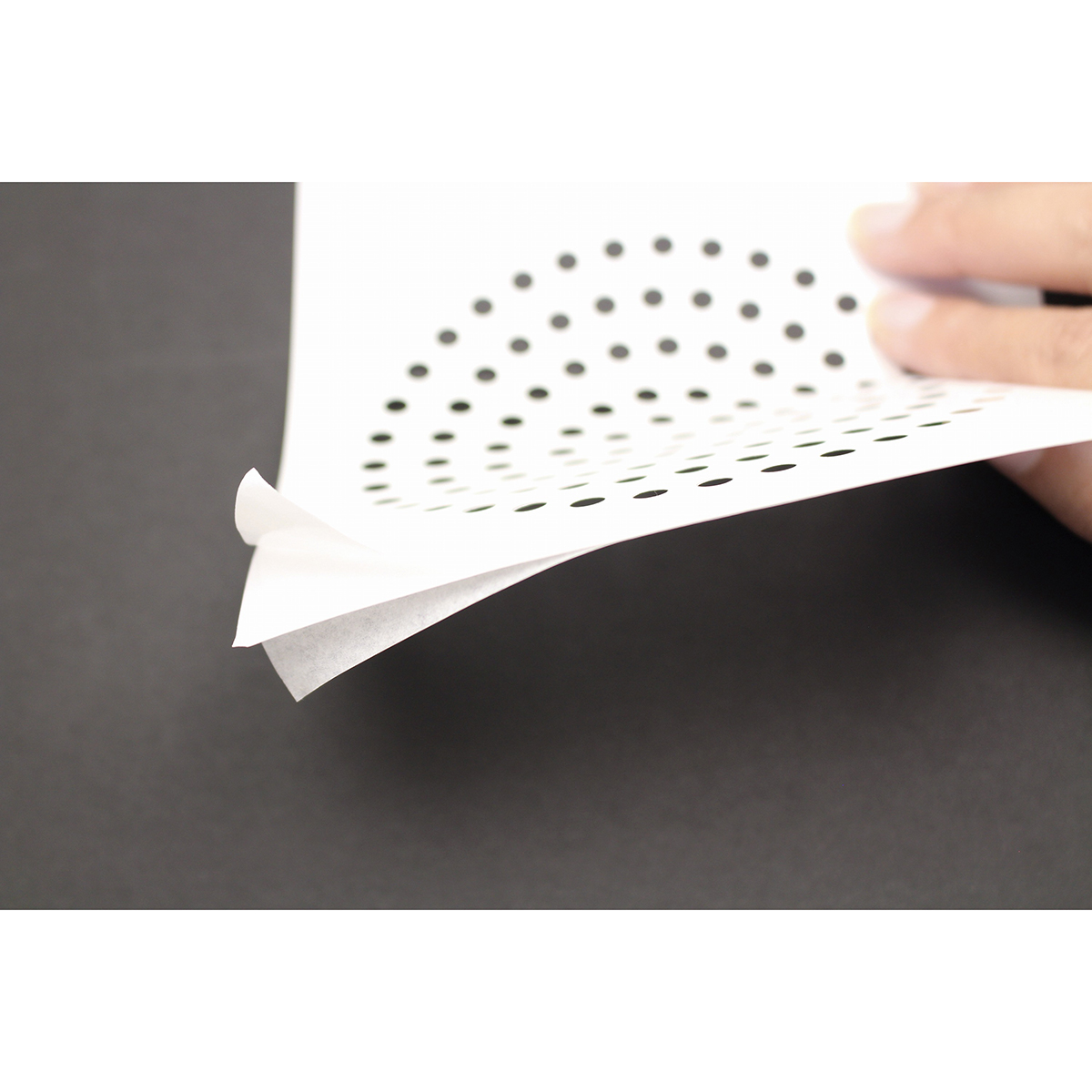 カモ井加工紙　カビ防止剤配合　髪の毛とりシート　１０シート２０枚入　ＭＴＨＯＵ００８