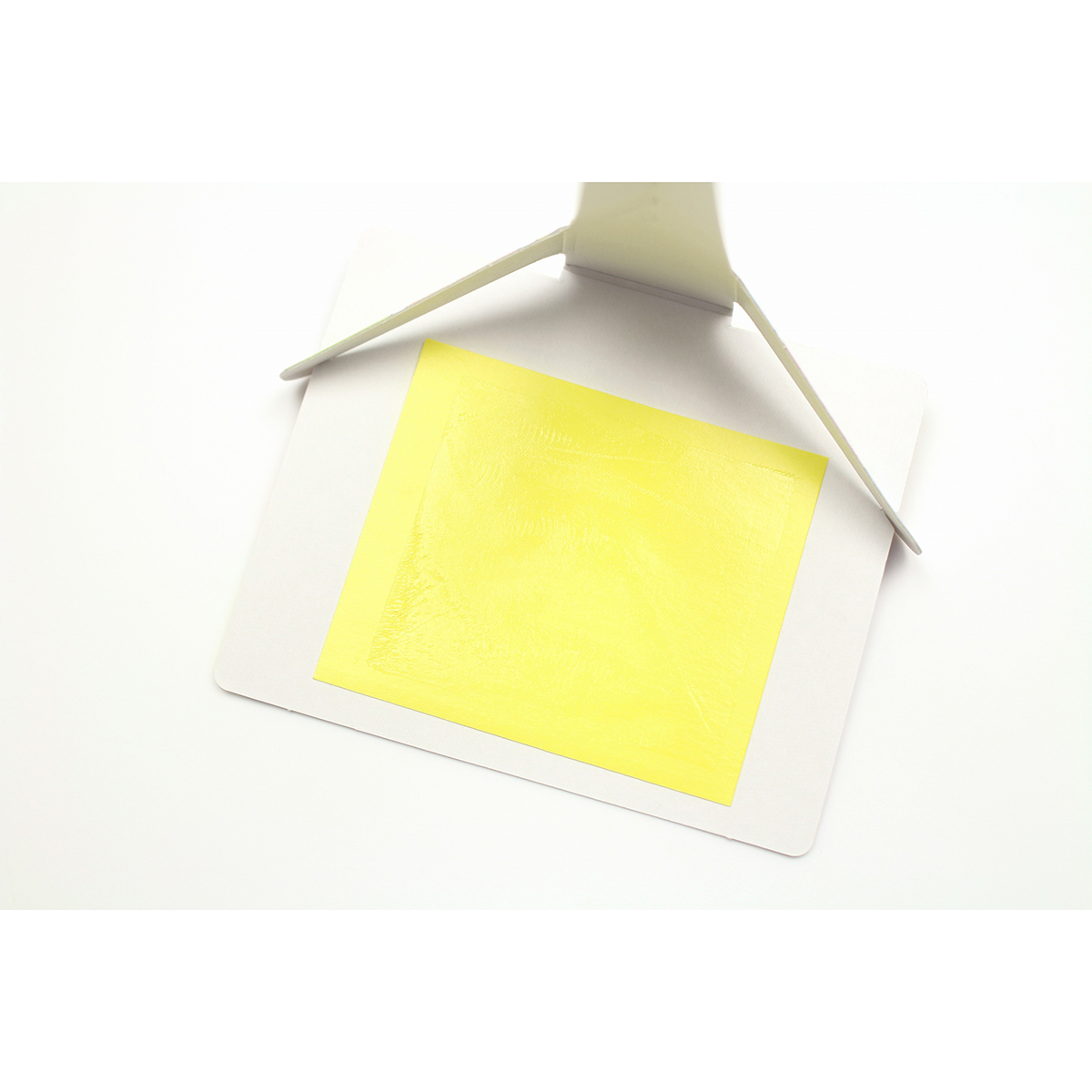 カモ井加工紙　植木鉢用捕虫紙　２枚入　ＭＴＨＯＵ０１３