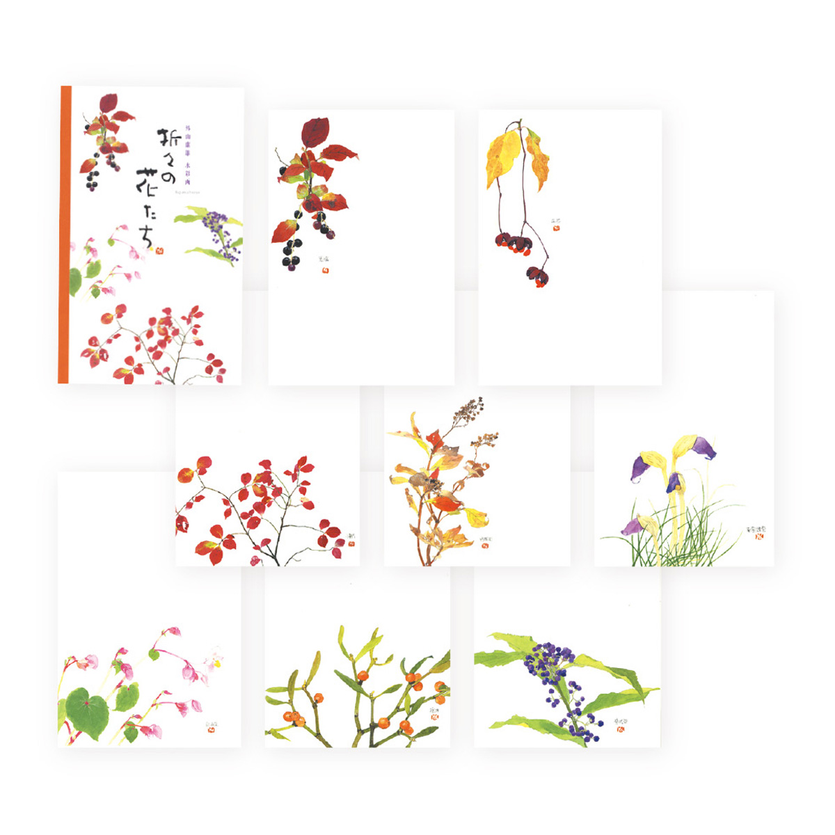 表現社　折々の花たち　はがきセット　第二集