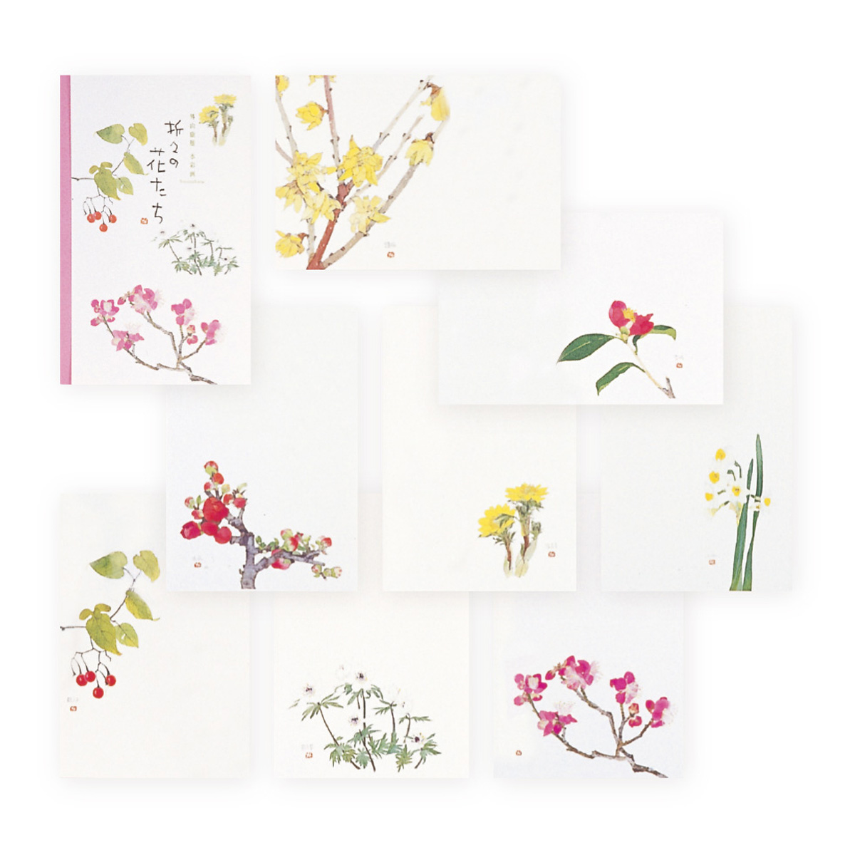 表現社　折々の花たち　はがきセット　第三集