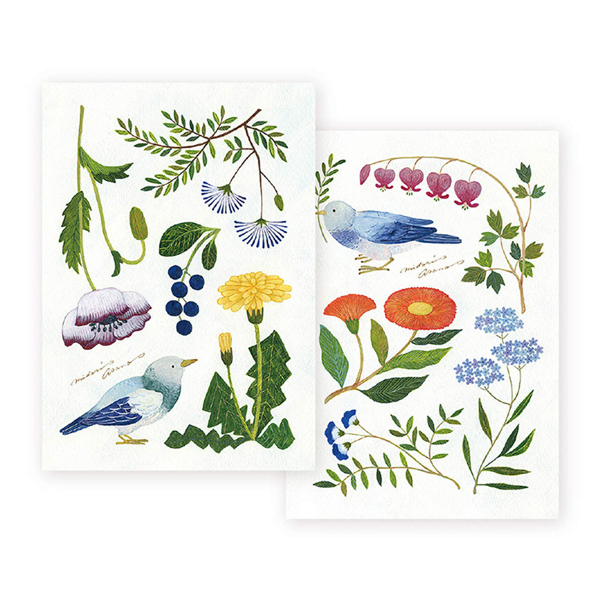 表現社　Ａ５ノート　浅野みどり　ことりとののはな　方眼罫