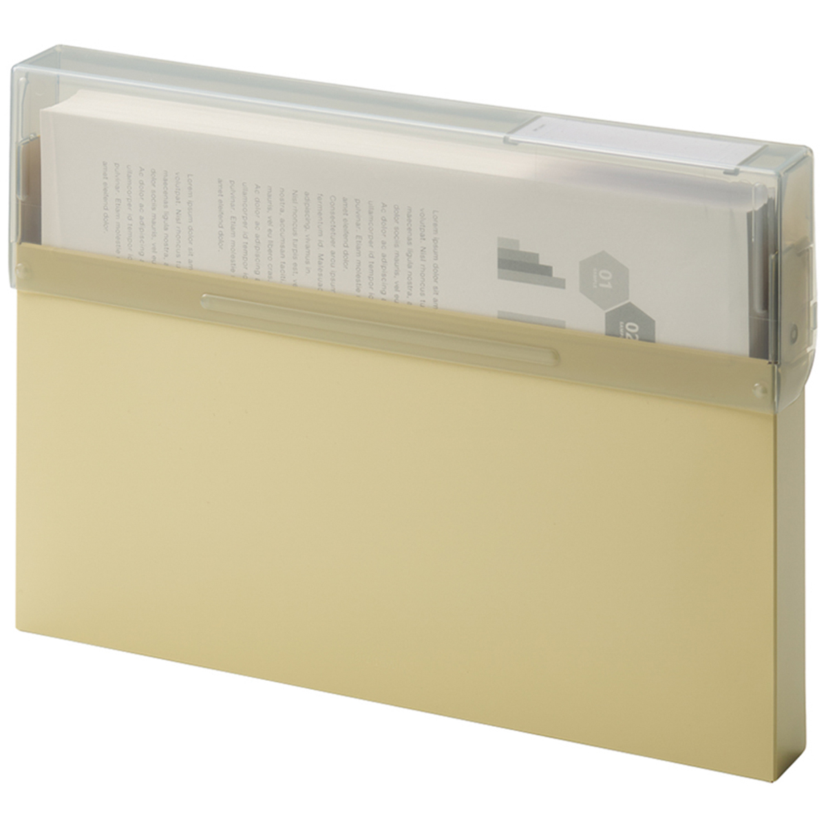 リヒトラブ　Ｍｕｔｕａｌ　コングレスケース　マットイエロー　Ａ４・ヨコ　３００枚収容