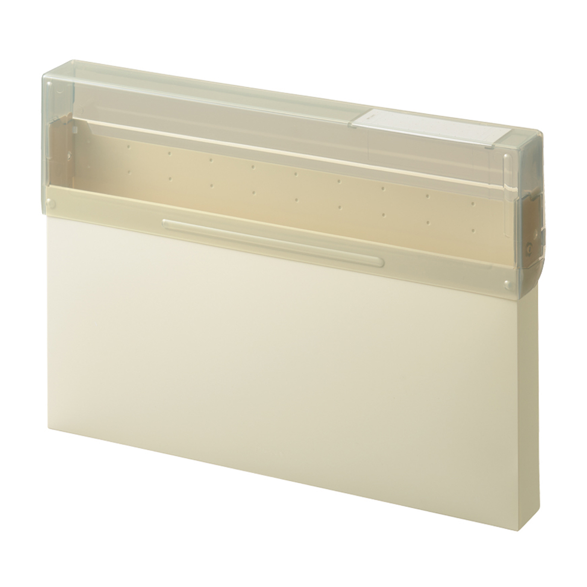 リヒトラブ　Ｍｕｔｕａｌ　コングレスケース　アイボリー　Ａ４・ヨコ　３００枚収容