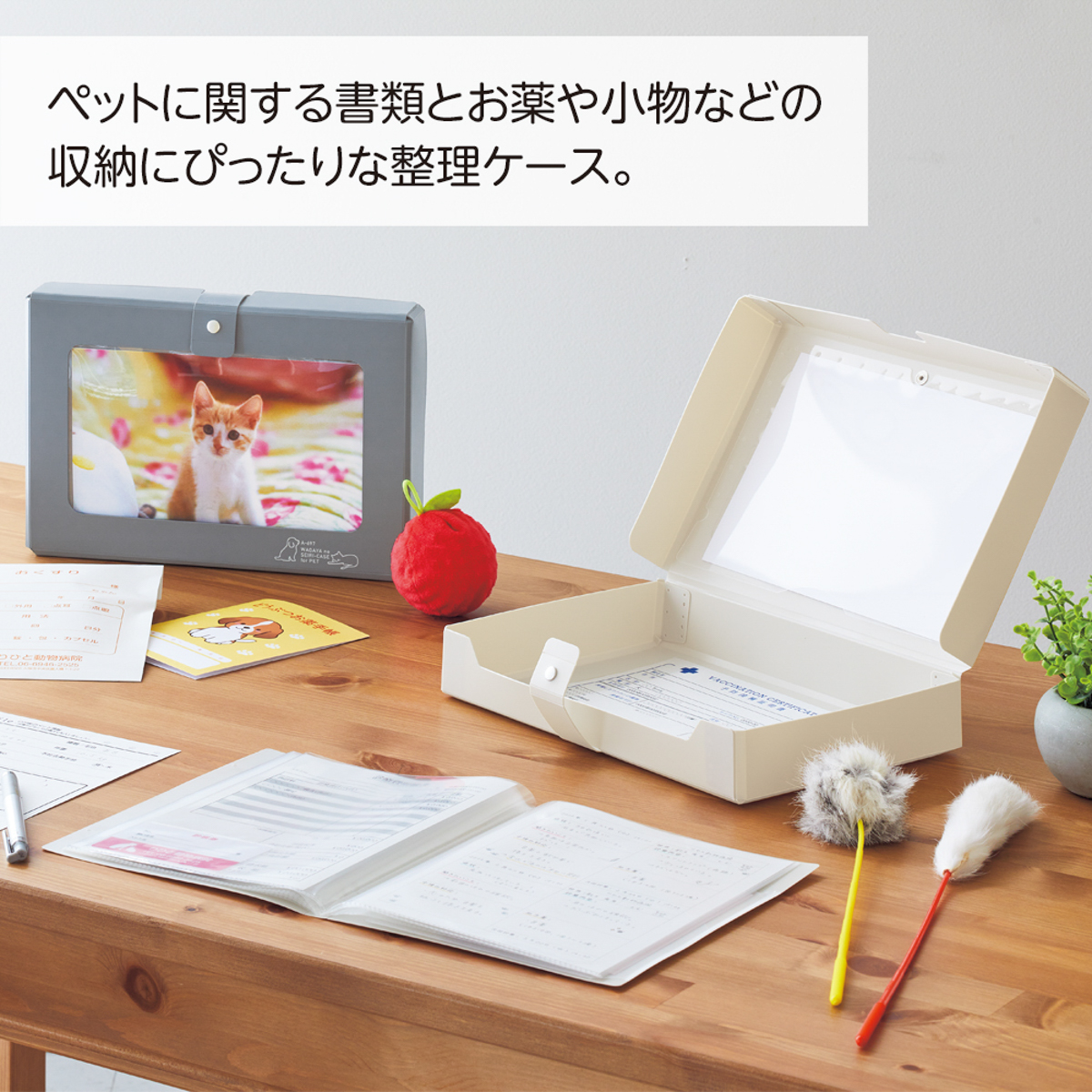 リヒトラブ　わが家の整理ケース＜ペット用＞　グレー　Ａ５