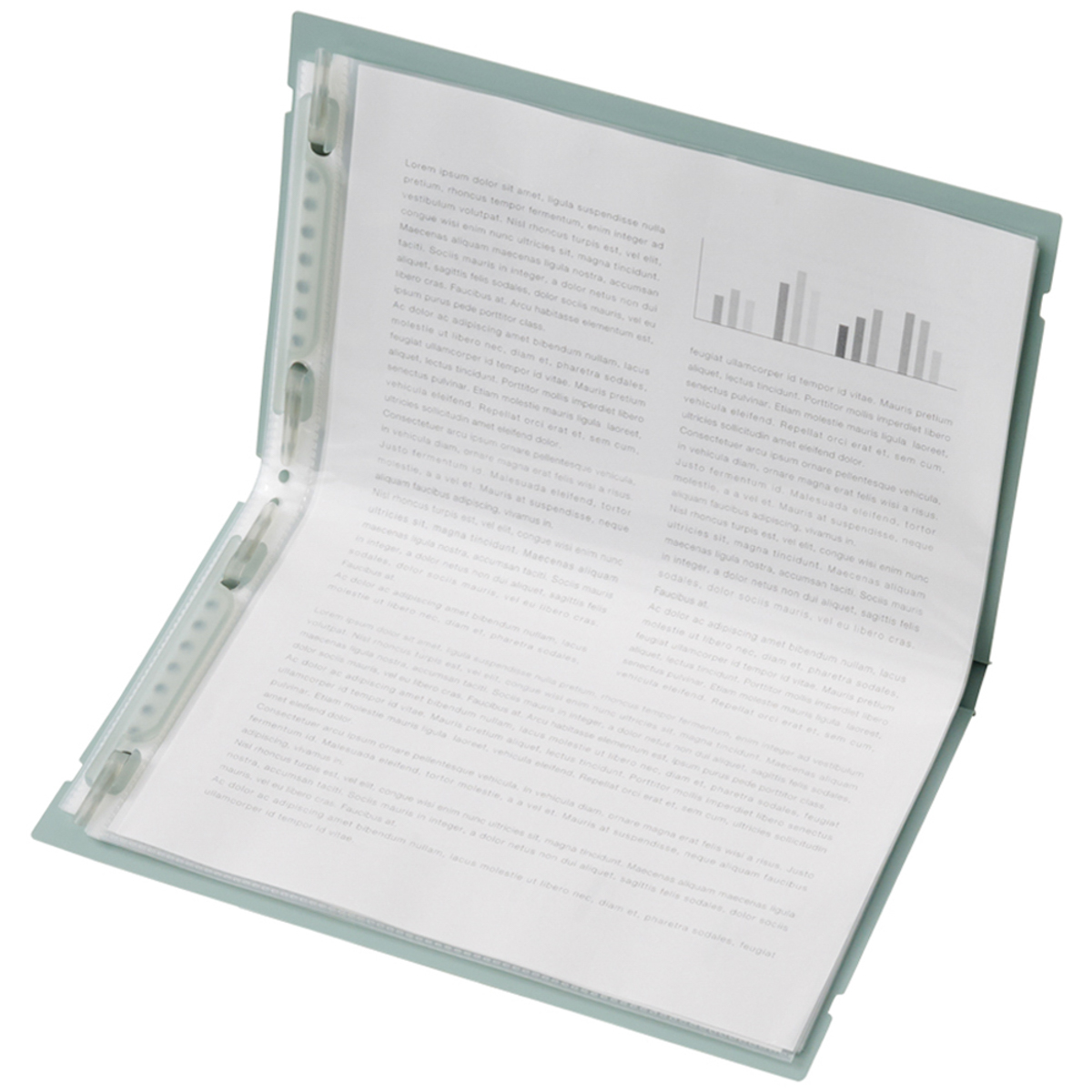 リヒトラブ　Ｍｕｔｕａｌ　二つ折りクリヤーブック＜ポケット交換式＞　ディープグリーン　Ａ５（Ａ４・２つ折）　ポケット１０枚