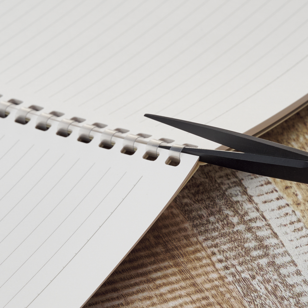 リヒトラブ　ソフィーチェノート　オリーブ　セミＢ５　リーフ３０枚