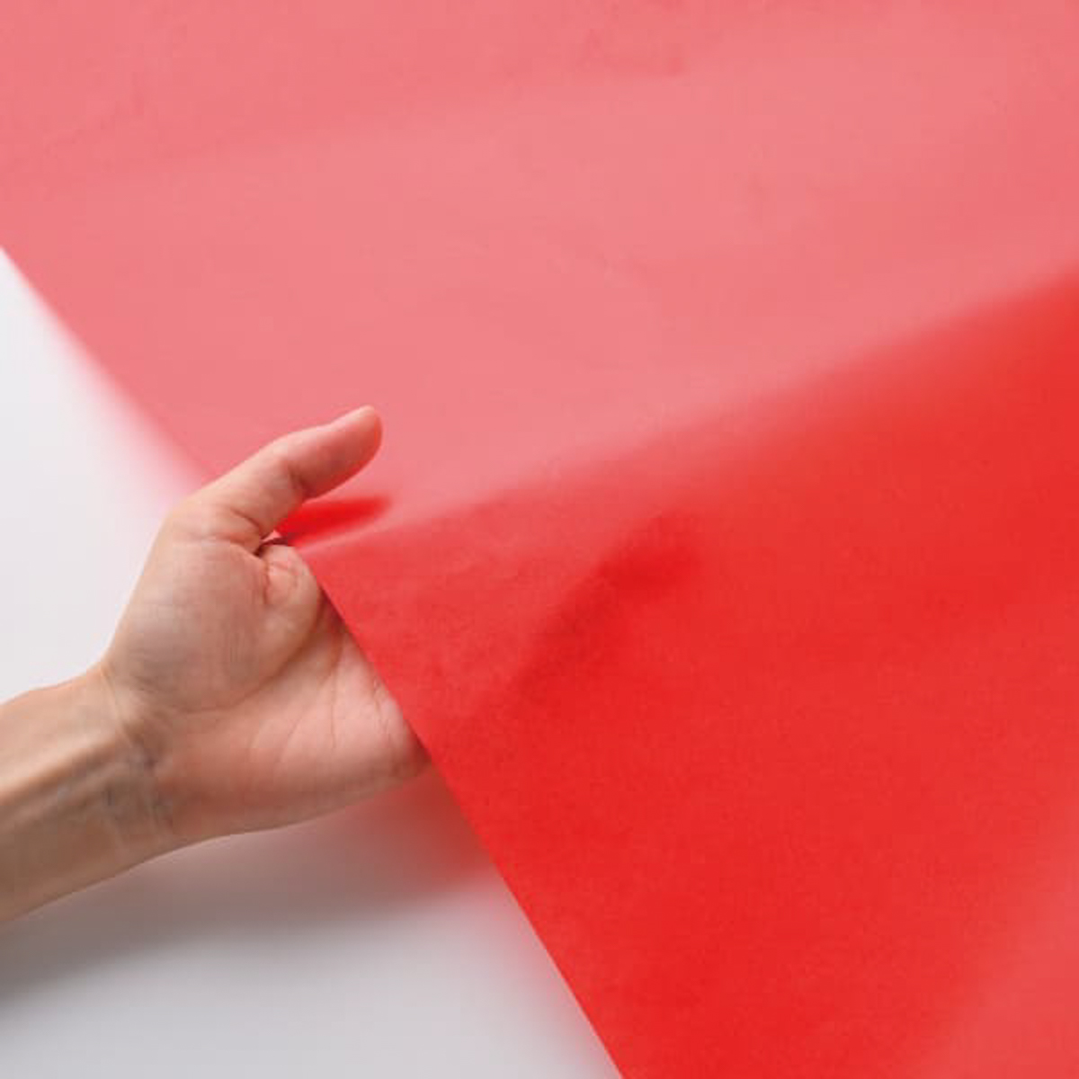 ヒサゴ　推し色薄葉紙　レッド