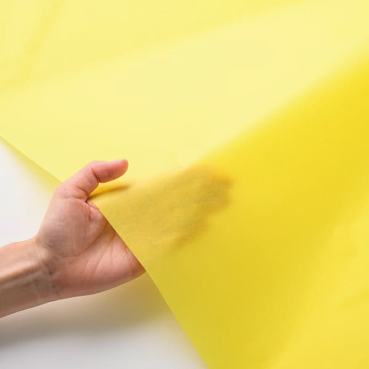 ヒサゴ　推し色薄葉紙　イエロー