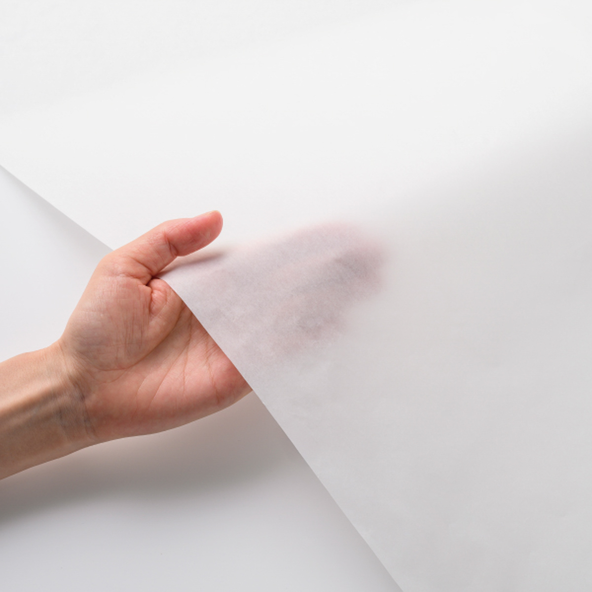 ヒサゴ　推し色薄葉紙　ホワイト