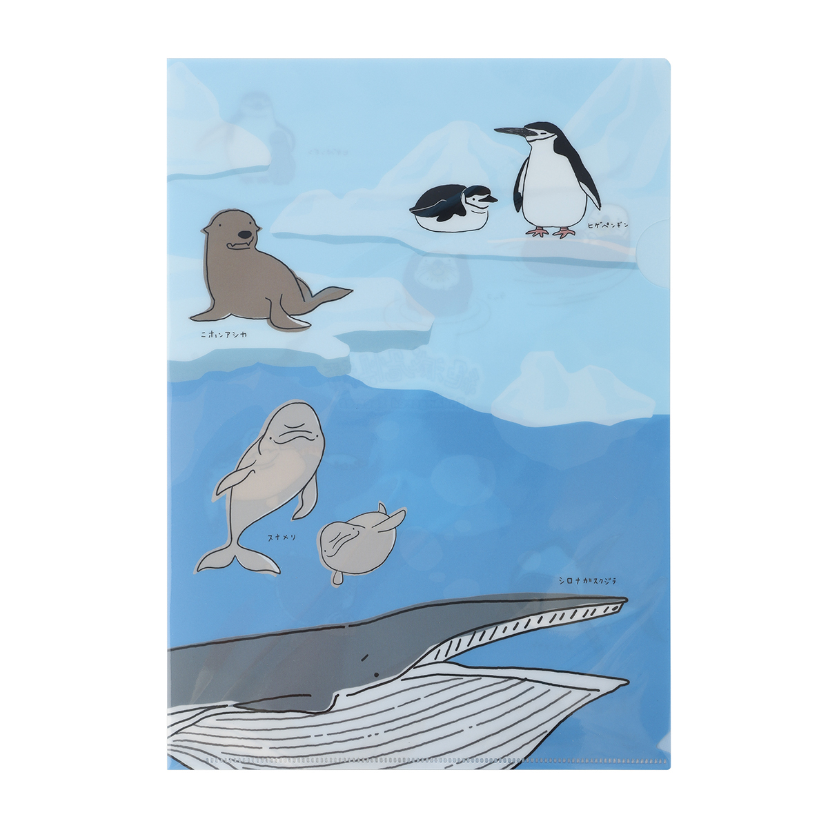 木野瀬印刷　クリアファイルＡ４　絶滅危惧種　水の動物大集合