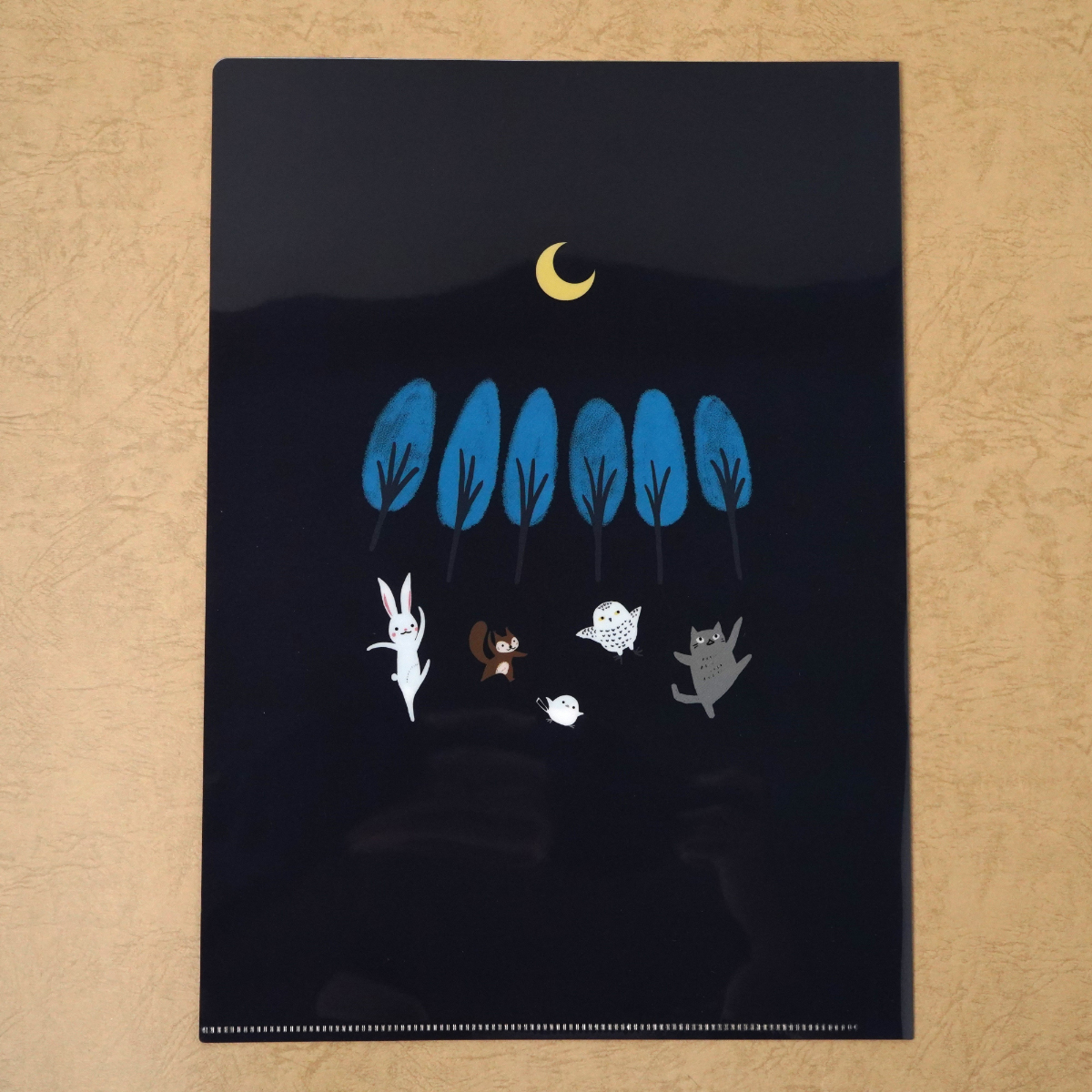 木野瀬印刷　クリアファイルＡ４　バレエシアター　白鳥の湖