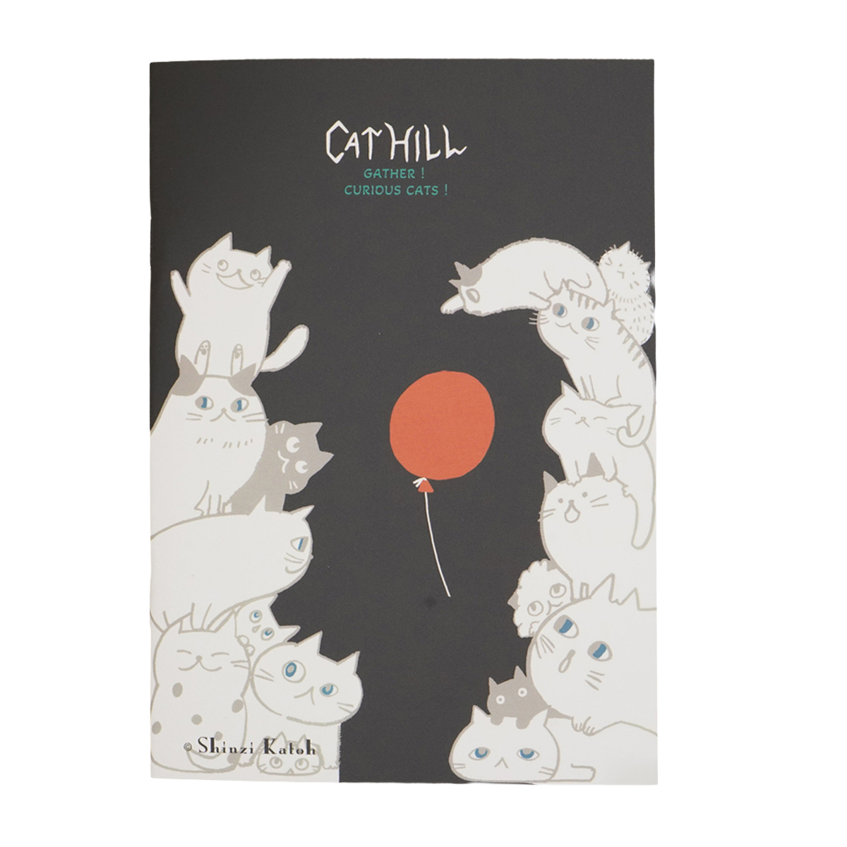 木野瀬印刷　ノートＢ６　キャットヒル　ブラック