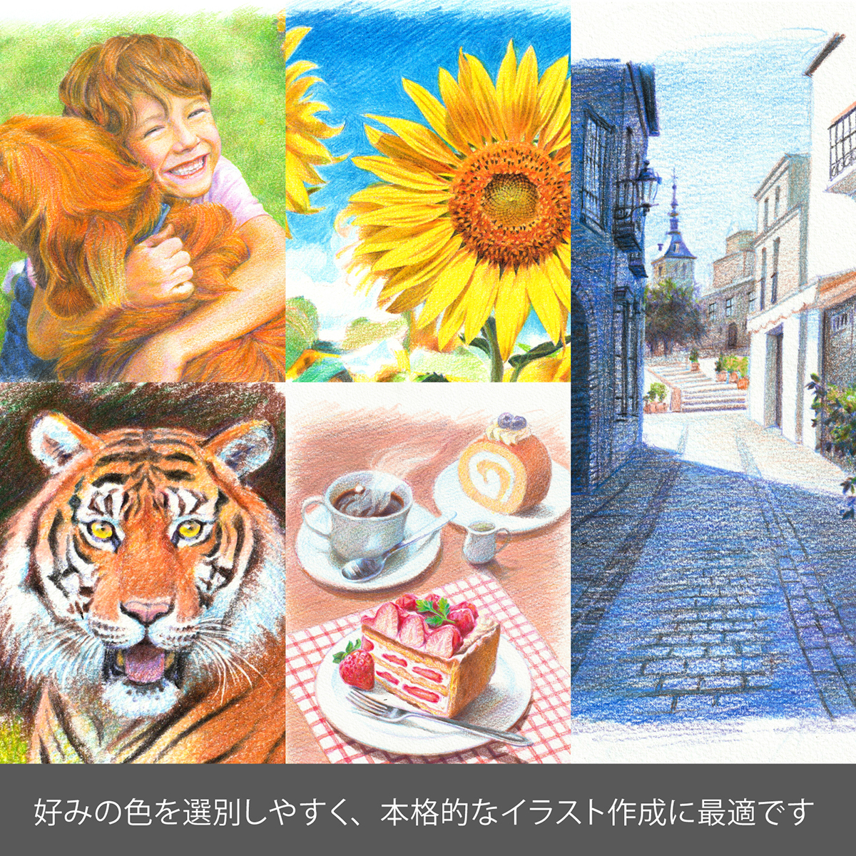 ぺんてる　色鉛筆　スケッチブック付き限定セット　アートマルチ８　ホルダータイプ　ＸＰＨ８０４ＳＴＳＢ