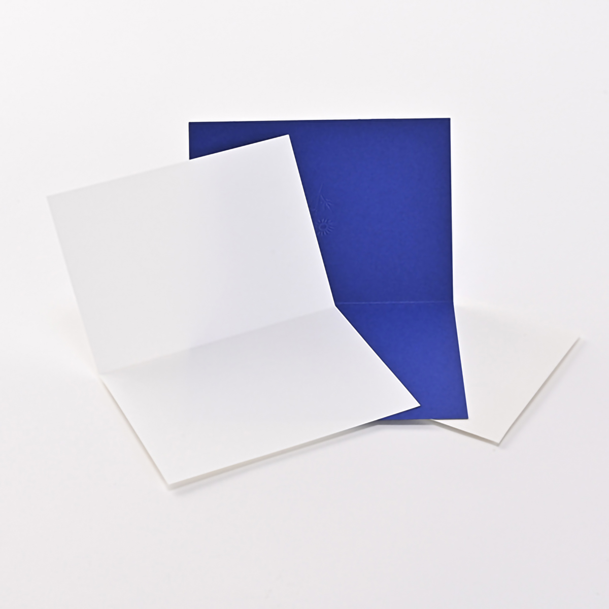 イーズプロダクツ　多目的カード　ＧＮ１８４７