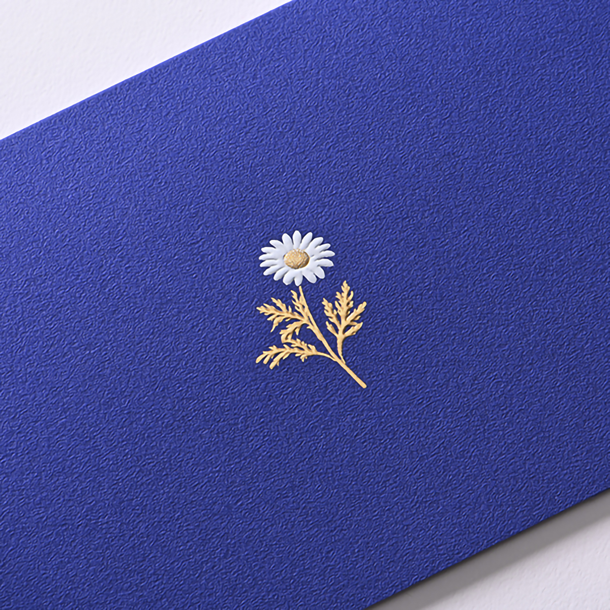 イーズプロダクツ　多目的カード　ＧＮ１８４７