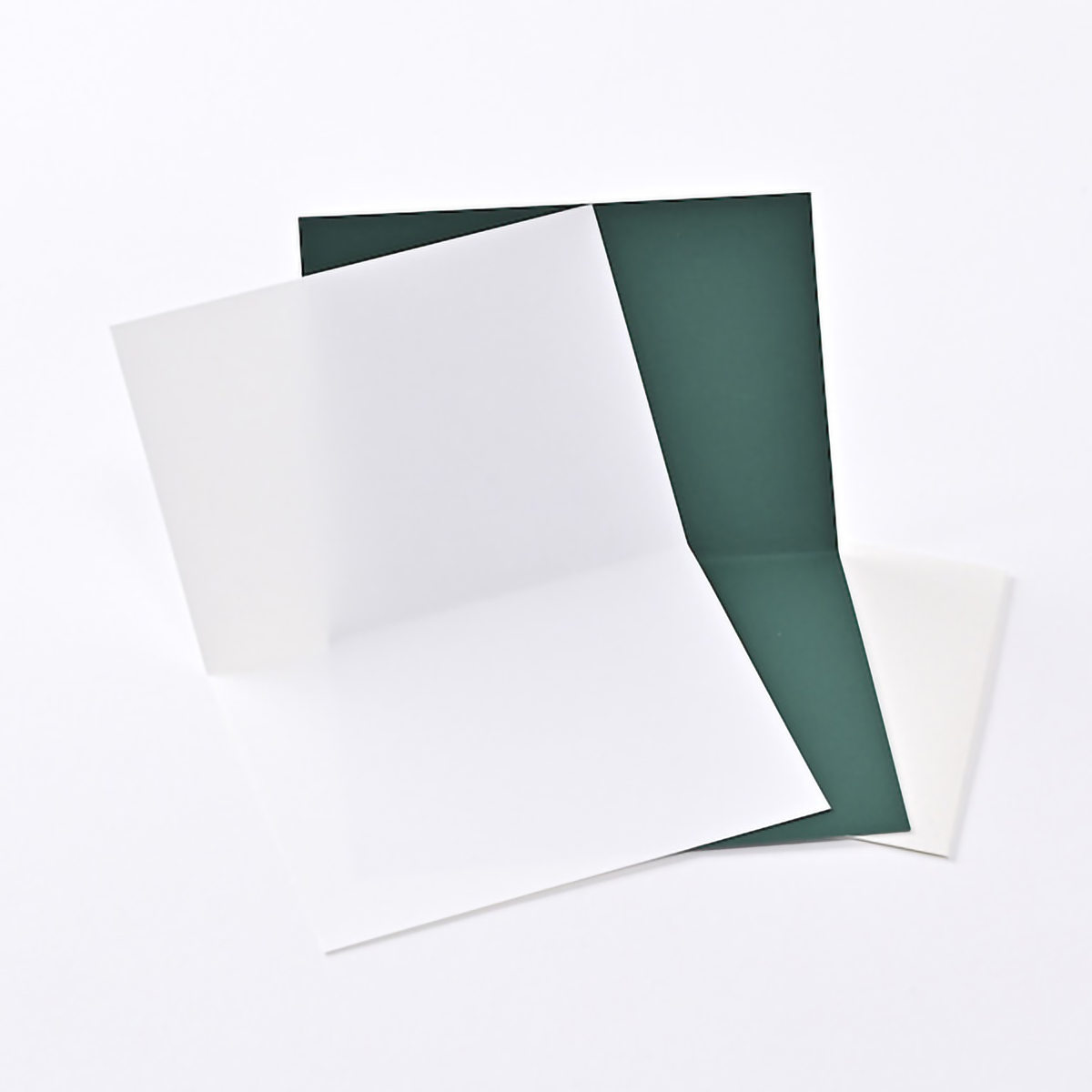 イーズプロダクツ　多目的カード　ＧＮ１８４９