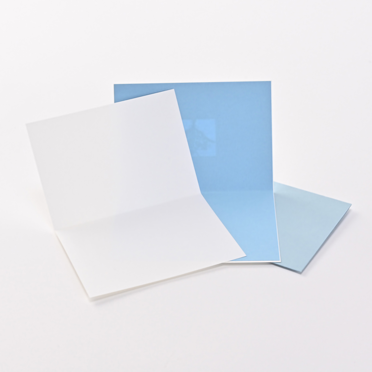 イーズプロダクツ　多目的カード　ＧＮ１９１１