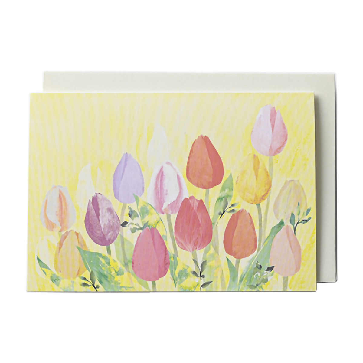 イーズプロダクツ　多目的カード　ＧＮ１９４６