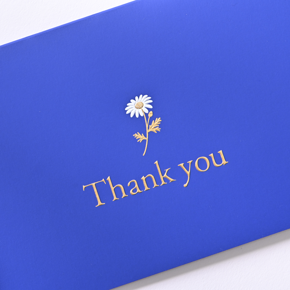 イーズプロダクツ　サンキューカード　ＧＴ１２９４