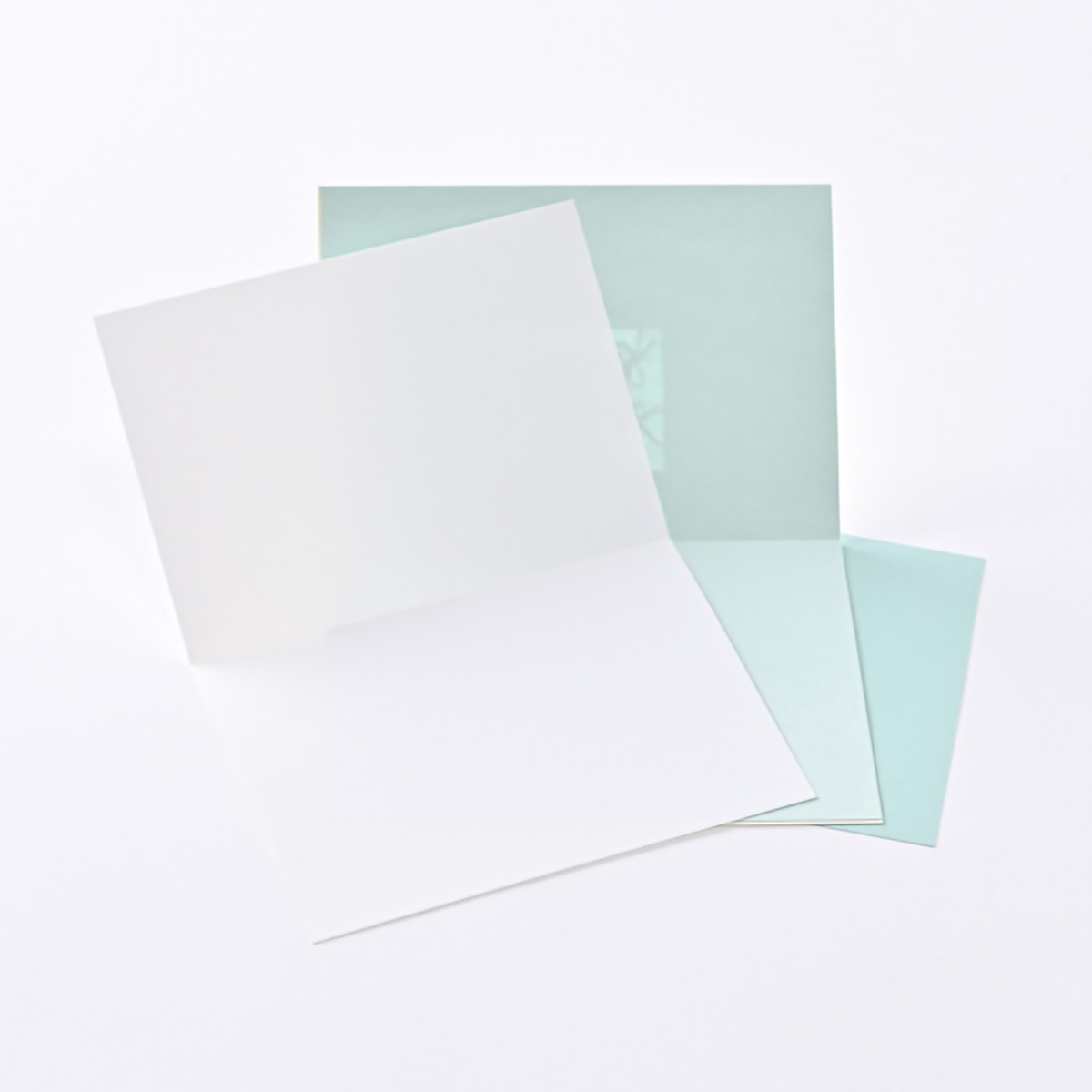 イーズプロダクツ　サンキューカード　ＧＴ１３１６