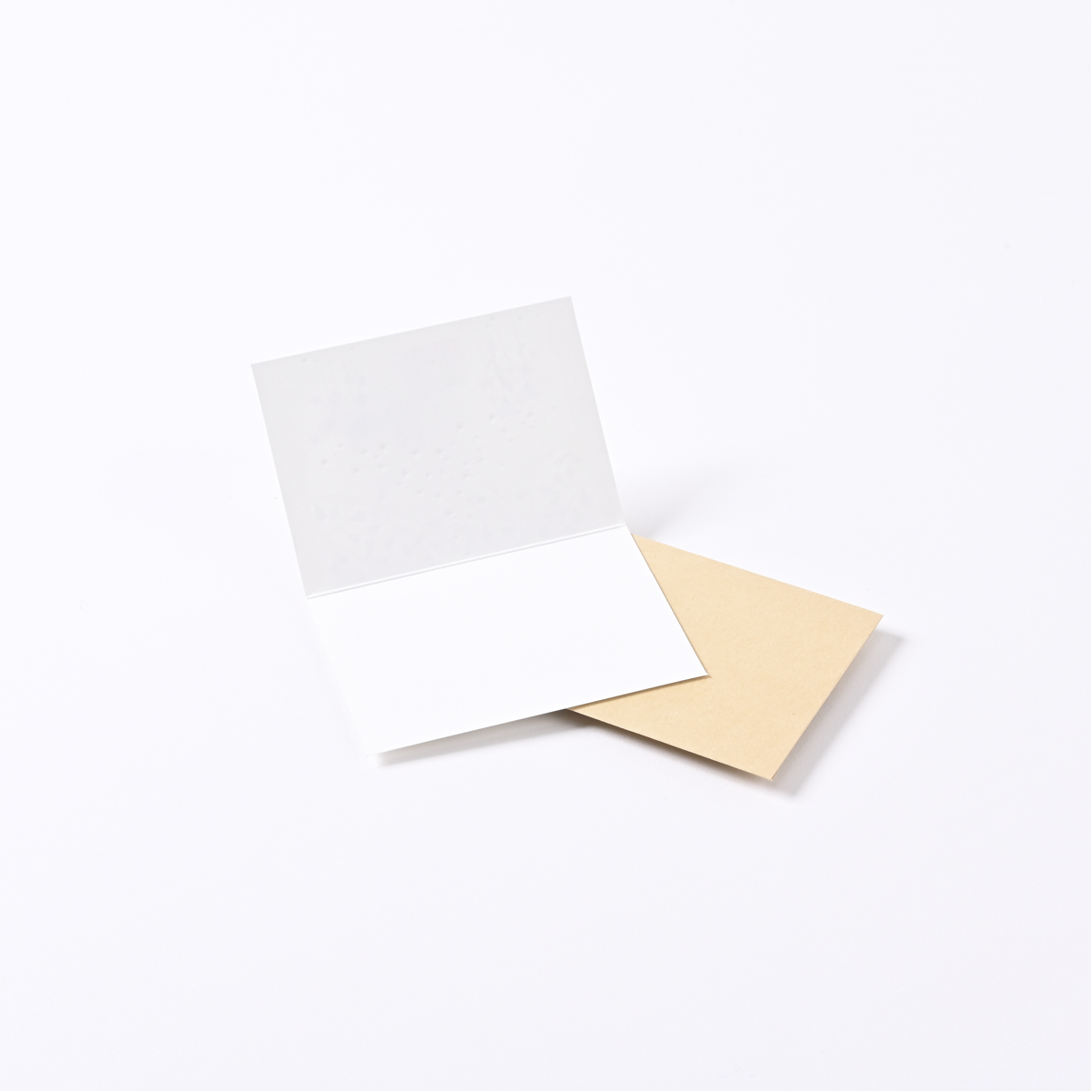 イーズプロダクツ　多目的ミニカード　ＧＮ１９０１