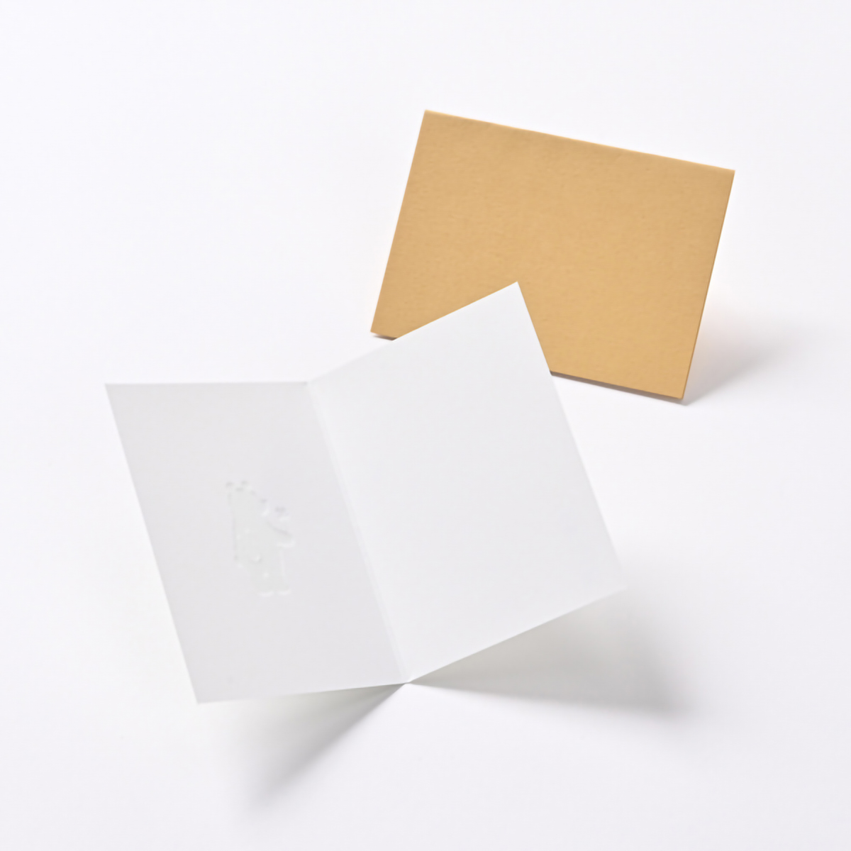 イーズプロダクツ　多目的ミニカード　ＧＮ１９１８