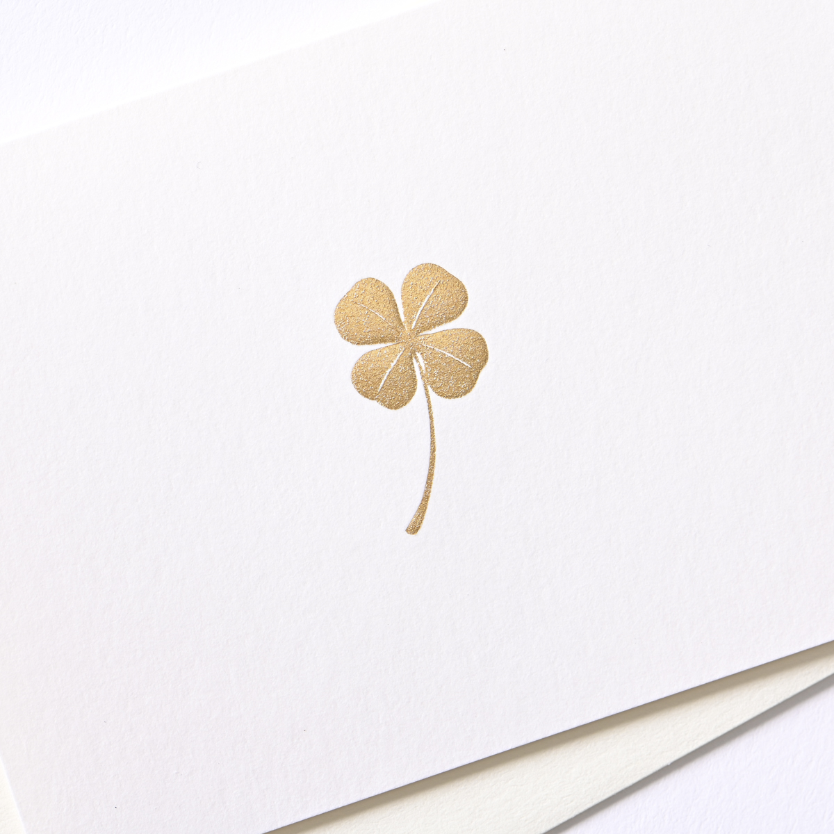 イーズプロダクツ　多目的ミニカード　ＧＮ１９５４