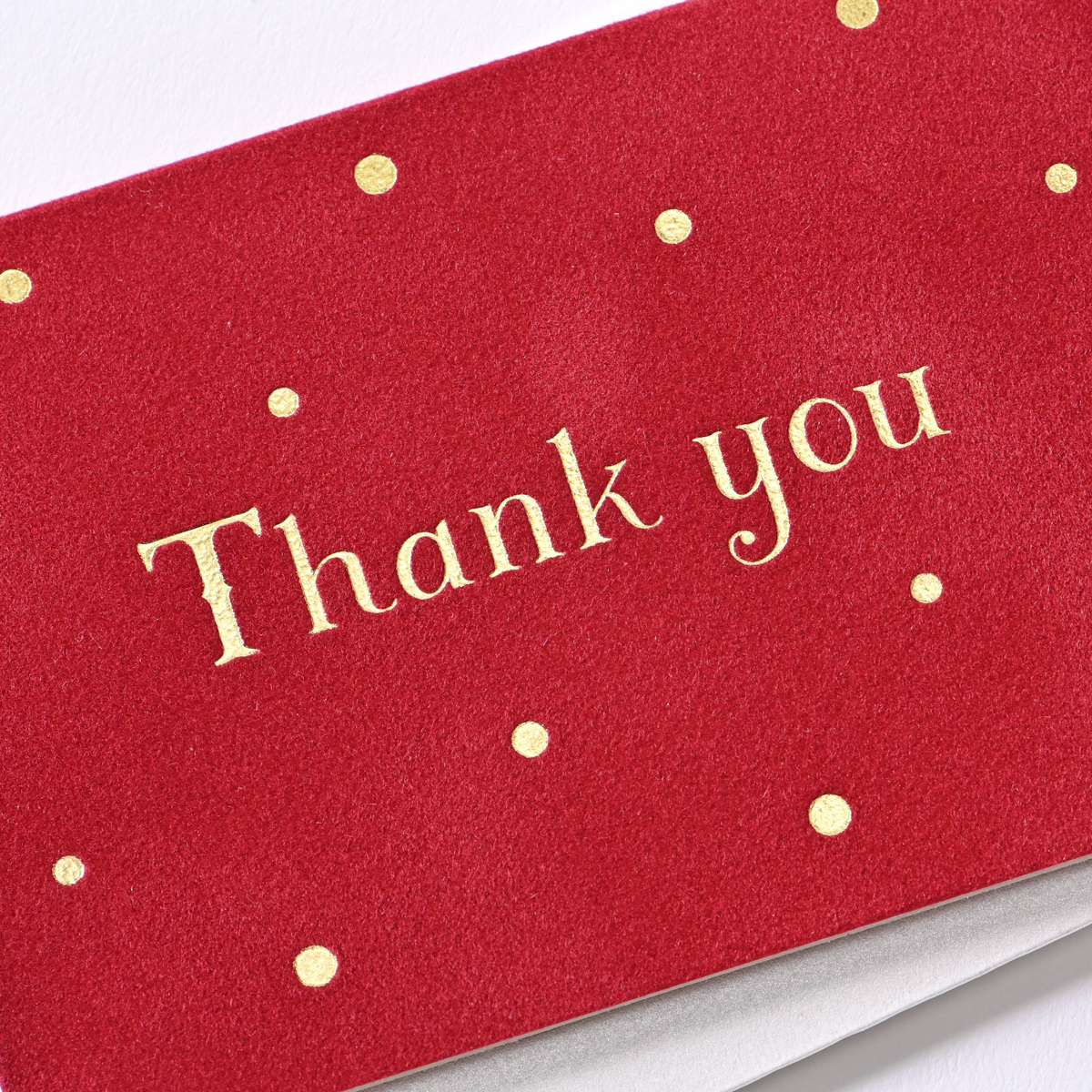 イーズプロダクツ　サンキューカードミニ　ＧＴ１３６４