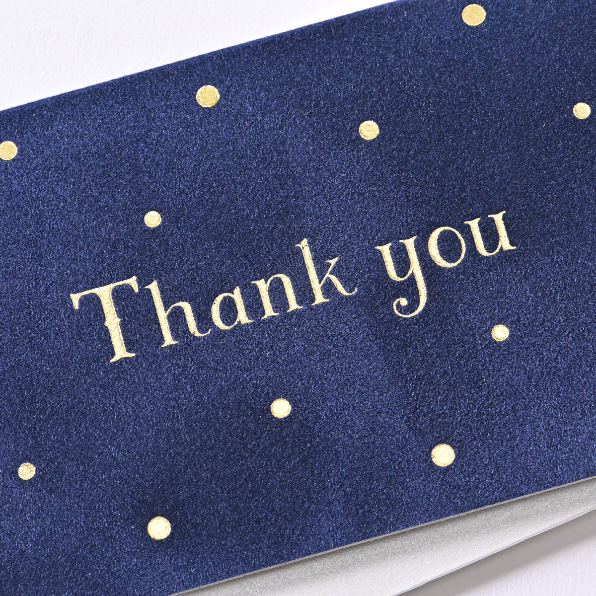 イーズプロダクツ　サンキューカードミニ　ＧＴ１３６６