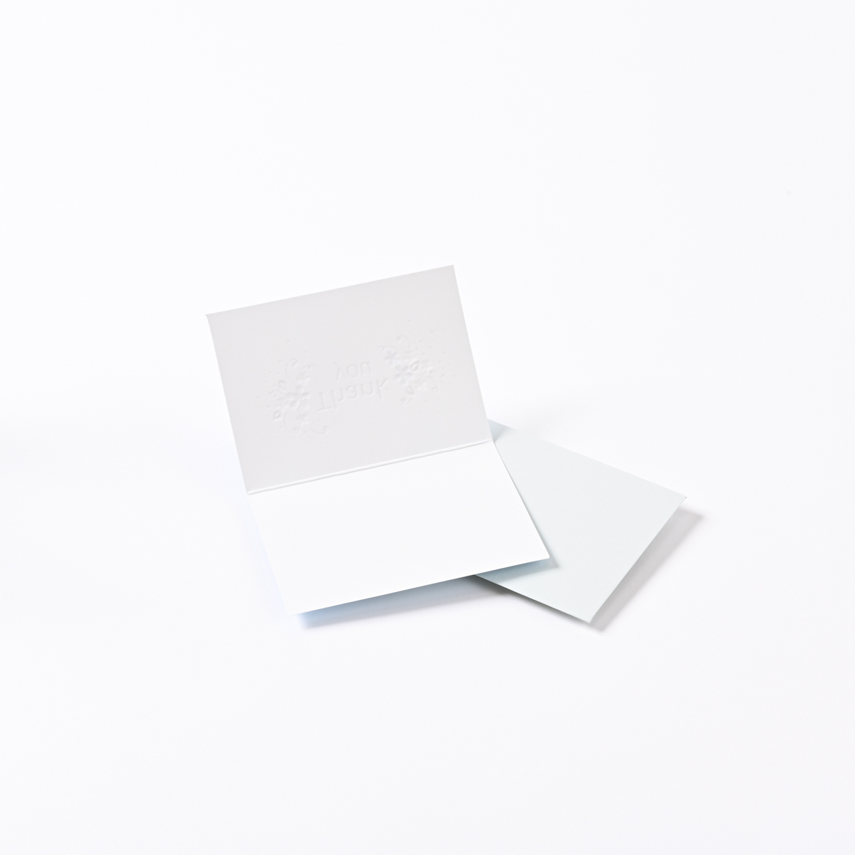 イーズプロダクツ　サンキューカードミニ　ＧＴ１３８０