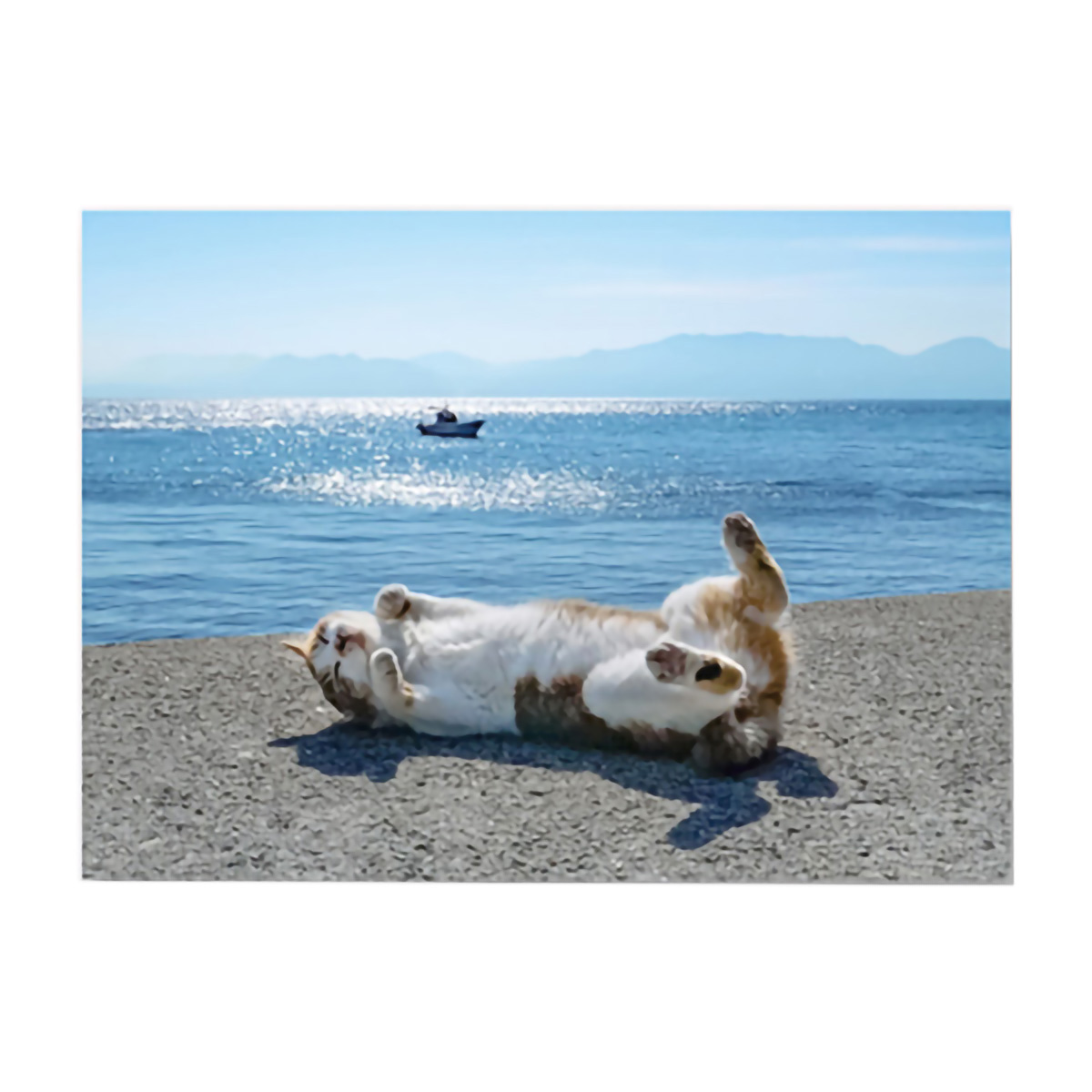 イーズプロダクツ　ネコポストカード　ＰＮ１２９９