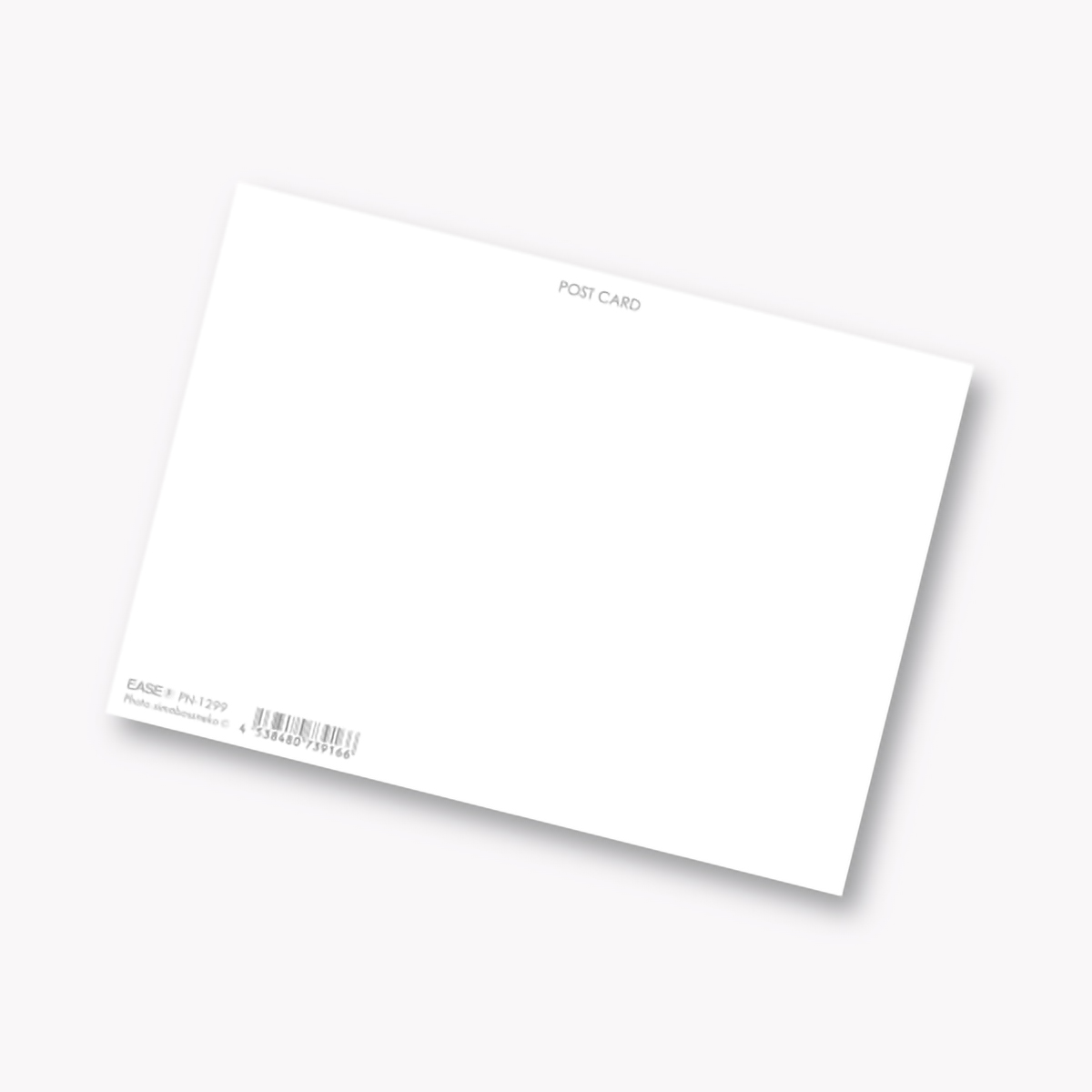 イーズプロダクツ　ネコポストカード　ＰＮ１２９９